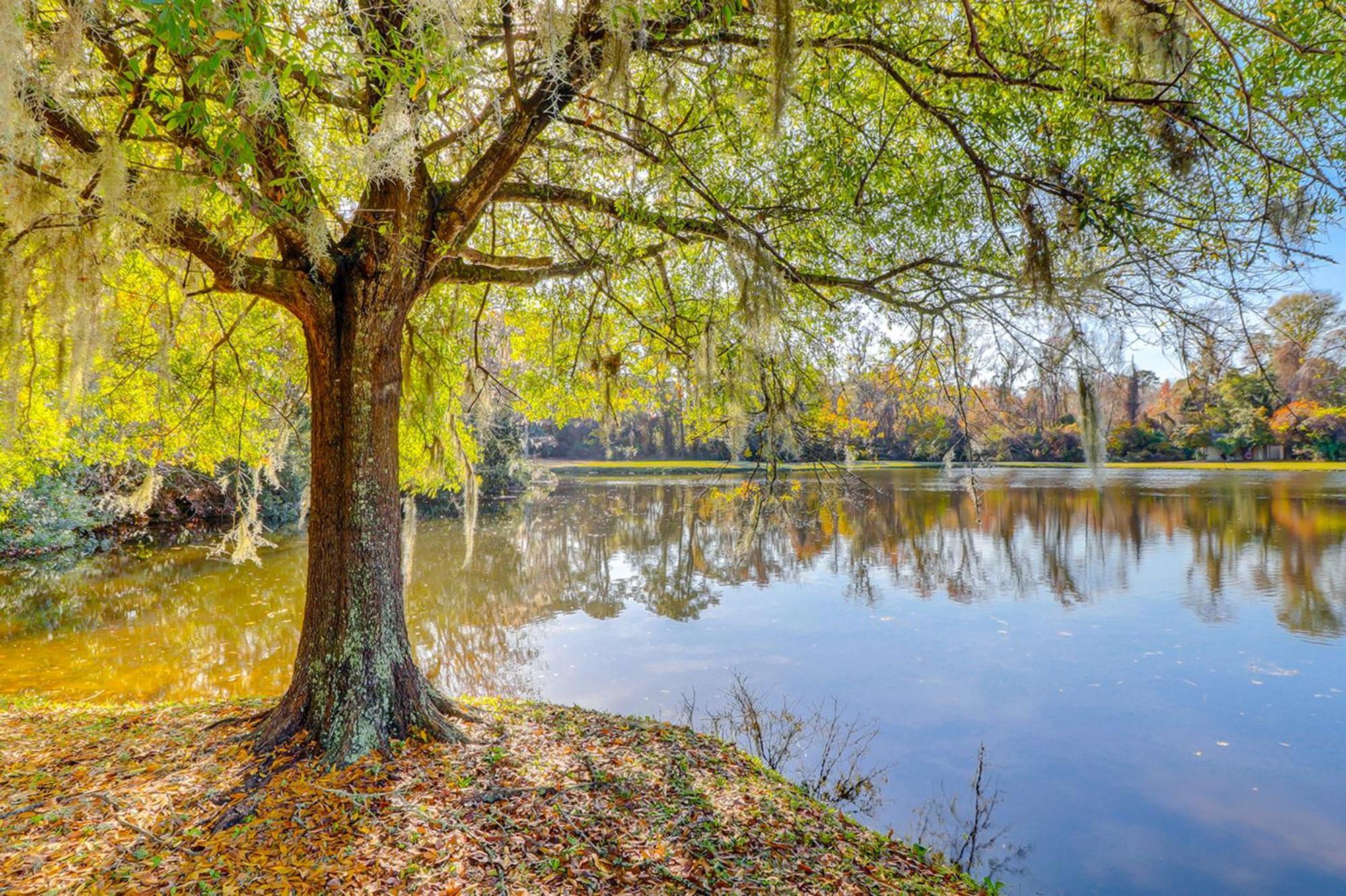 Harbour Master 503 Apartment Hilton Head Island Ngoại thất bức ảnh